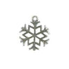 Winter & Snow Charms - Catalog