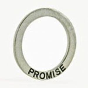 Promise Ring - SamandNan